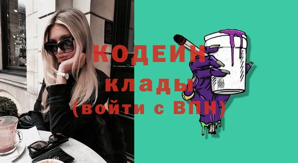 гашик Богданович