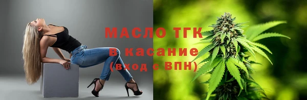 гашик Богданович