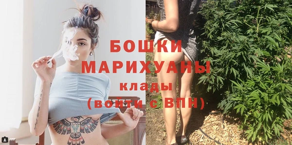 гашик Богданович