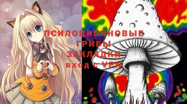 прущая мука Богородицк
