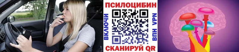 Псилоцибиновые грибы GOLDEN TEACHER Борисоглебск