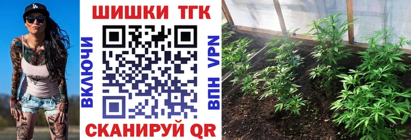 Бошки марихуана конопля  Борисоглебск 